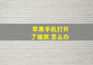 苹果手机打开了缩放 怎么办